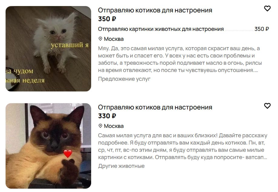 В Москве появилась «подписка» на фото котиков  Это реальная услуга на Avito: люди за 300–350 рублей обещают отправлять вам забавные фото, мемы, видео с котиками всю неделю утром и вечером.  Вы сами можете выбрать удобное время и мессенджер.  Фото: Avito   РБК Life в Telegram