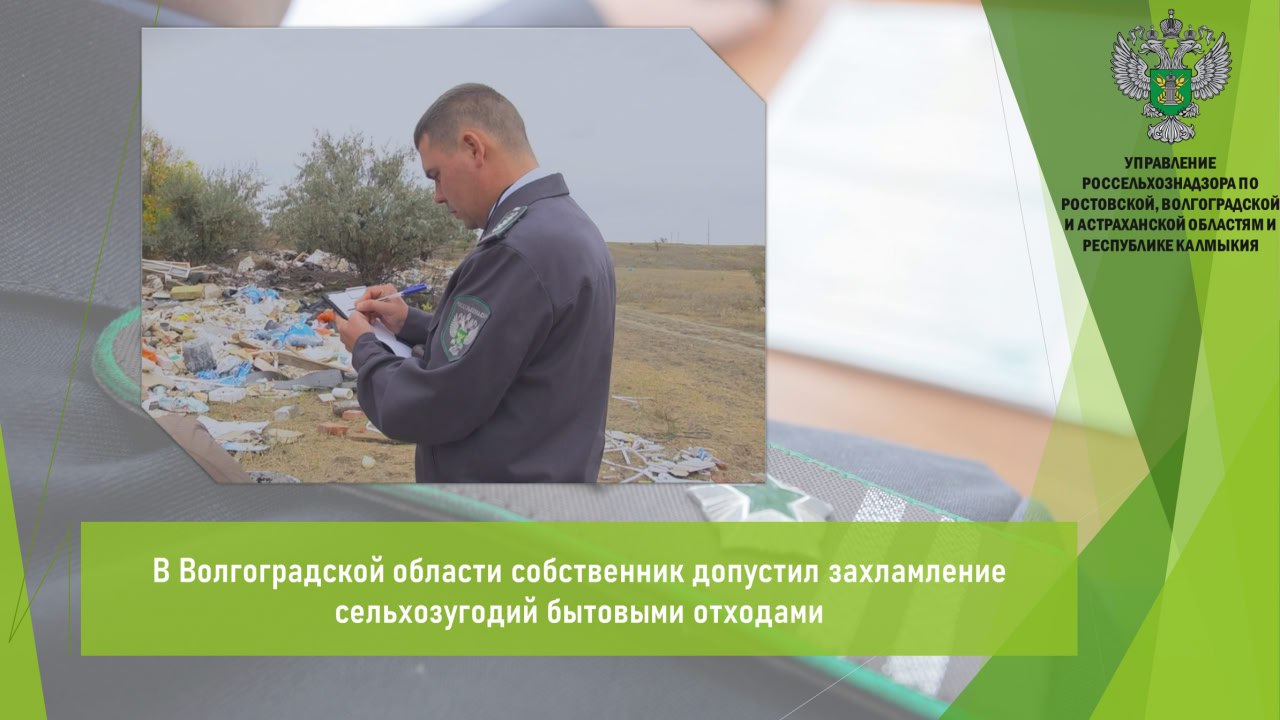 Управлением Россельхознадзора в рамках обследования сельхозугодий, расположенных в границах Новоаннинского района Волгоградской области, выявлено нарушение земельного законодательства. В ходе обследования сельхозугодий выявлен очаг захламления бытовыми отходами брёвна, пластиковые бутылки, полиэтиленовая плёнка и сухая трава на площади 80 кв. м. На момент осмотра уборка захламления не осуществлялась. По факту выявленного нарушения собственнику выдано предписание об устранении выявленного нарушения требований земельного законодательства и предписано привести участок в состояние, пригодное для использования в соответствии с категорией и видом разрешенного использования, способом, предусмотренным законодательством Российской Федерации. Открыть полный текст #Земельный_надзор #Свалки