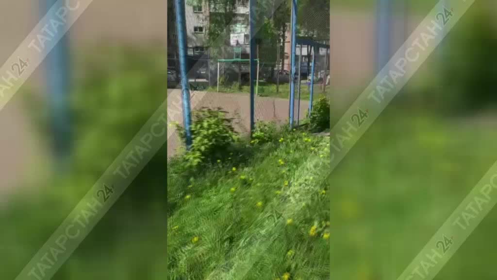 Жители Владивостока требуют улучшения состояния двора на Ильичёва, 20