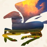 Аватар Телеграм канала: Мы вместе! Беҙ бергә!