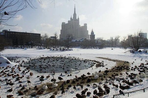 С нового года меняется стоимость входного билета в Московский зоопарк  Взрослый билет стоит 1500 рублей, детский — 750 рублей.