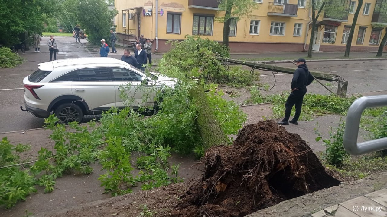 В Великих Луках упало дерево, повредив автомобиль и линию электропередачи Инцидент произошёл утром 28 мая на улице Ставского. Дерево рухнуло, повредив припаркованный рядом автомобиль и линию электропередачи. На месте работают аварийные службы. Ведутся работы по устранению последствий.