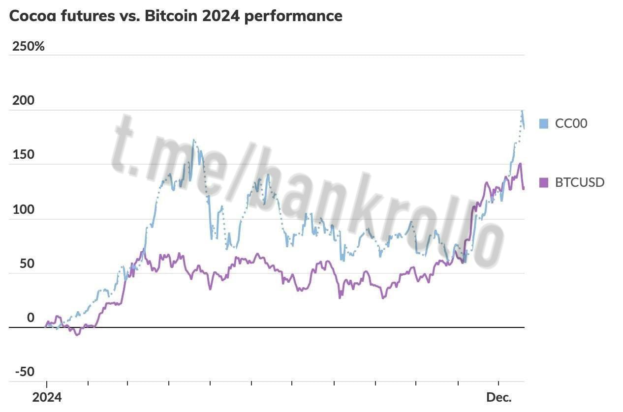 Инвестиции в какао оказались выгоднее, чем в биткоин. Фьючерсы на какао-бобы за 2024 год выросли почти на 200%, биткоин — почти на 120%.