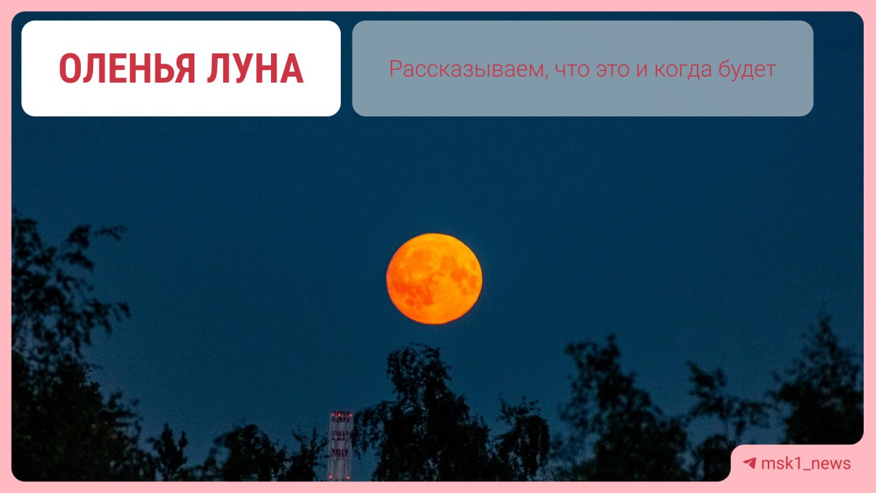 Оленья Луна совсем скоро взойдёт над Москвой  В четверг, 10 июля, в столице можно будет увидеть необычное полнолуние. Диск Луны будет освещён более чем на 98%, а само светило будет расположено ближе к горизонту в Северном полушарии. Именно из-за этого Луна может стать оранжевой, розовой или красной, а также выглядеть больше.  Оленьей её прозвали потому, что именно в это время у оленей начинают расти рога, — объяснили в Университете Решетнёва.  А вы будете наблюдать за необычной Луной?   — да   — нет