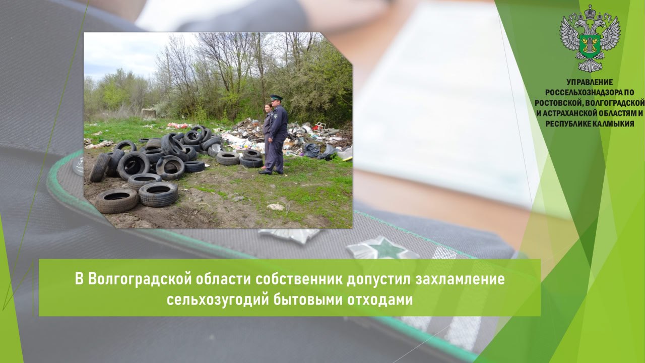 Управлением Россельхознадзора в рамках обследования сельхозугодий, расположенных в границах Камышинского района Волгоградской области, выявлено нарушение земельного законодательства. В ходе обследования сельхозугодий выявлены очаги захламления бытовыми отходами пластмассовые и стеклянные бутылки, полиэтиленовые пакеты, картонные коробки, автомобильные покрышки, утратившие свои потребительские свойства и другое . Площадь захламления составила 100 кв. м. На момент осмотра уборка захламления не осуществлялась, техника, осуществляющая уборку захламления, отсутствовала. По факту выявленного нарушения Управлением собственнику земельного участка выдано предписание об устранении выявленного нарушения требований земельного законодательства. Предписано привести участок в состояние, пригодное для использования в соответствии с категорией и видом разрешенного использования. Открыть полный текст #Земельный_надзор #Свалки