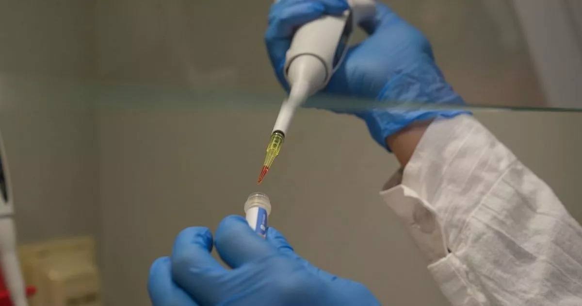 Источником заражения норовирусом юных спортсменов в Сочи стали сотрудники гостиницы В начале января дети приехавшие на соревнования в Сочи заразились норовирусом Как сообщили в Роспотребнадзоре источником инфекции оказались сотрудники гостиничного комплекса Лоо Арена где проживали спортсмены В Роспотребнадзоре сообщили что в отеле провели санитарную обработку Во время проверки выявили нарушения при организации питания В отношении гостиничного комплекса возбуждены административные дела Кубанские Новости   Мы в MAX