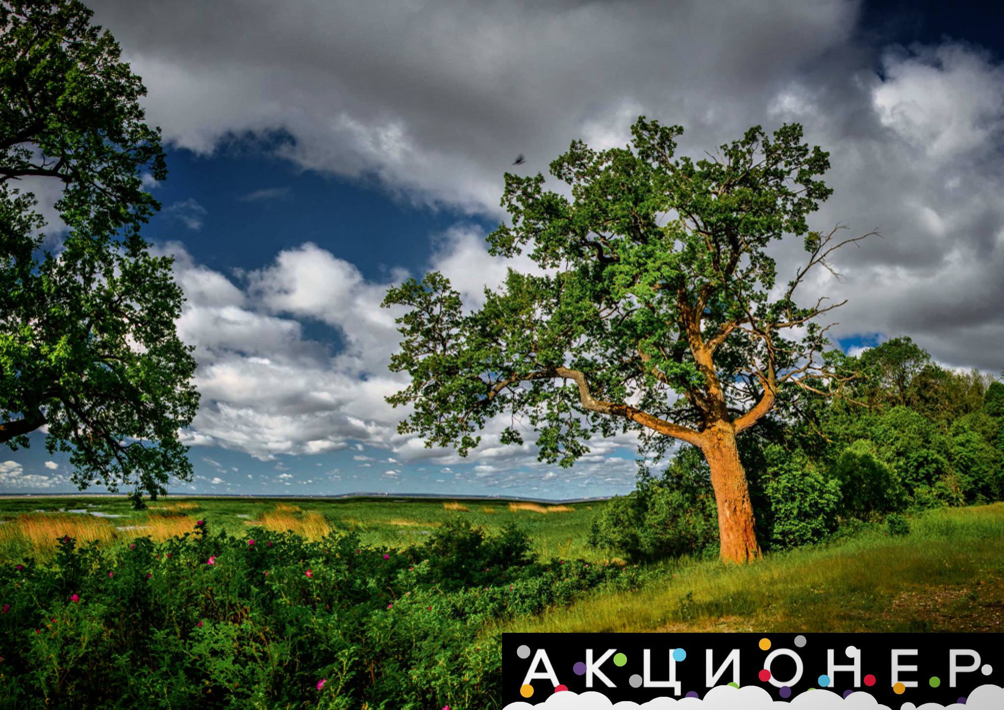 В России разрешили строительство на территории природных заповедников Правительство РФ внесло в Госдуму законопроект позволяющий убрать запрет на изменение границ особо охраняемых природных территорий Благодаря этим поправкам например можно будет сокращать площадь заповедных территорий полностью утративших особое природоохранное значение в случае природных чрезвычайных ситуаций Читаешь новости Подпишись на Акционер