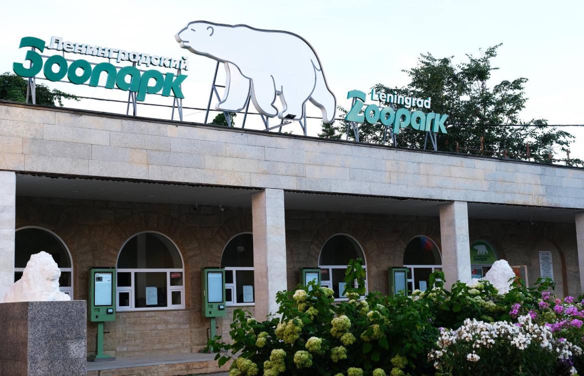 Новый зоопарк в Петербурге может открыться не раньше 2030 года Вице губернатор Валерий Москаленко сообщил что строительство нового зоопарка планируется не раньше 2030 года из за проблем с финансированием и поиском подходящей локации В течение этого десятилетия его появление является маловероятным Возможные сценарии строительство за счёт бюджета государственно частное партнёрство или полностью частный проект Ранее рассматривалась идея создания зоопарка в Юнтолово но от нее отказались Подробнее читайте в материале ДП по ссылке Мнацаканян Анжела Подписаться на DP RU