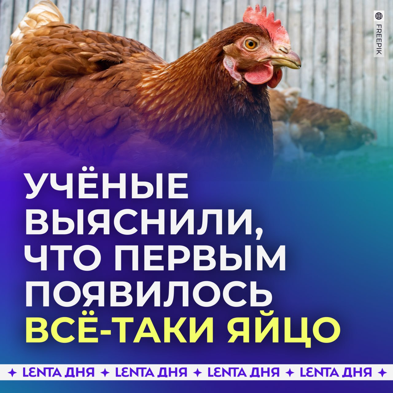 Учёные ответили на вопрос: курица или яйцо. Оказалось, яйцо.  Эксперты из Женевского университета утверждают, что строительные блоки для образования яиц существовали задолго до появления кур. Они исследовали одноклеточный организм Chromosphaera perkinsii, и выяснили, что он обитал на Земле более миллиарда лет назад.  Исследователи заключили, что природа уже обладала генетическими инструментами для создания яиц задолго до появления первых животных