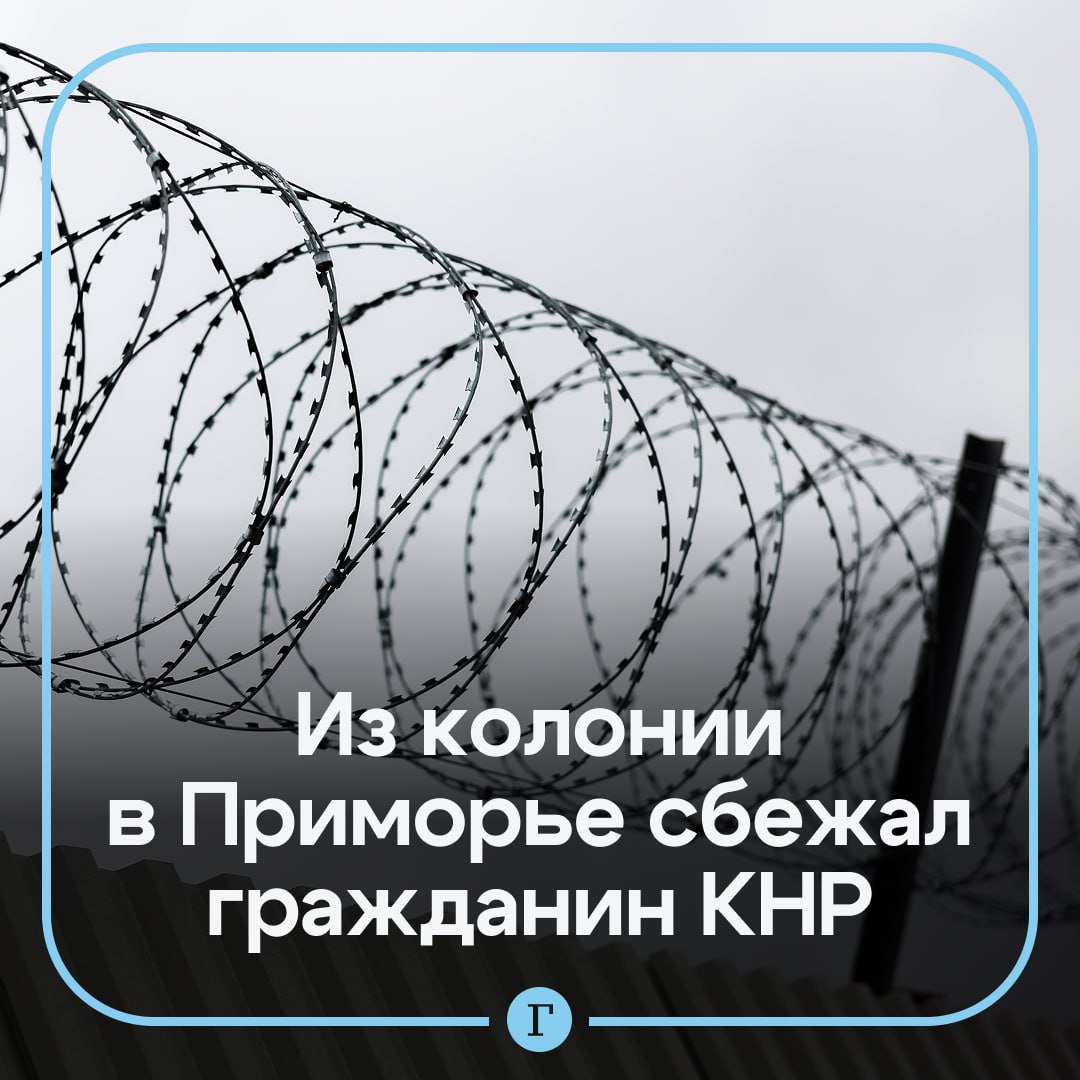 В Приморье ищут сбежавшего из колонии гражданина Китая Иностранец был осужден на полтора года за незаконное пересечение границы России и отбывал наказание в колонии поселении 37 Дзержинское Октябрьского района ФСИН также распространила ориентировку на беглеца   рост 170 175   среднее телосложение   короткая стрижка   волосы темные   глаза карие   был одет в черный пуховик с капюшоном темные штаны зеленые ботинки с красной эмблемой   Читайте Газету Ru в MAX Участвуйте в розыгрыше