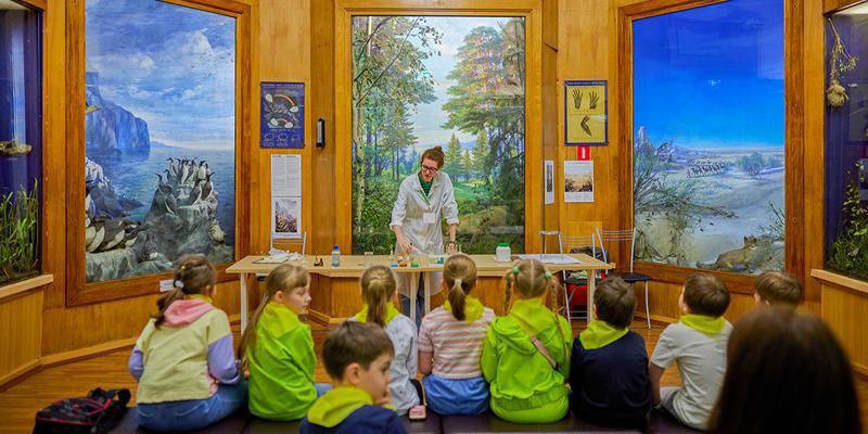 Государственный биологический музей имени К А Тимирязева приглашает в удивительное путешествие по миру живой природы Здесь под сводами старинного особняка соседствуют мифический аликорн и современный робот экскурсовод ископаемые моллюски и интерактивные инсталляции В экспозиции вы увидите легендарного снежного барса в прыжке уникальную коллекцию грибов и пластические реконструкции древних людей А в новом комплексе Биокластер на ВДНХ можно стать участником научных экспериментов и познакомиться с искусством в жанре science арт Музей продолжает развиваться сохраняя свою историческую ценность и внедряя современные технологии Какие изменения ждут музей в будущем в материале