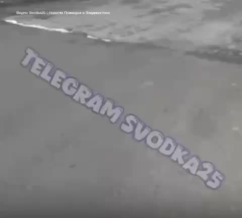 Ремонт моста в Приморье: рабочие используют монтажную пену вместо традиционных материалов