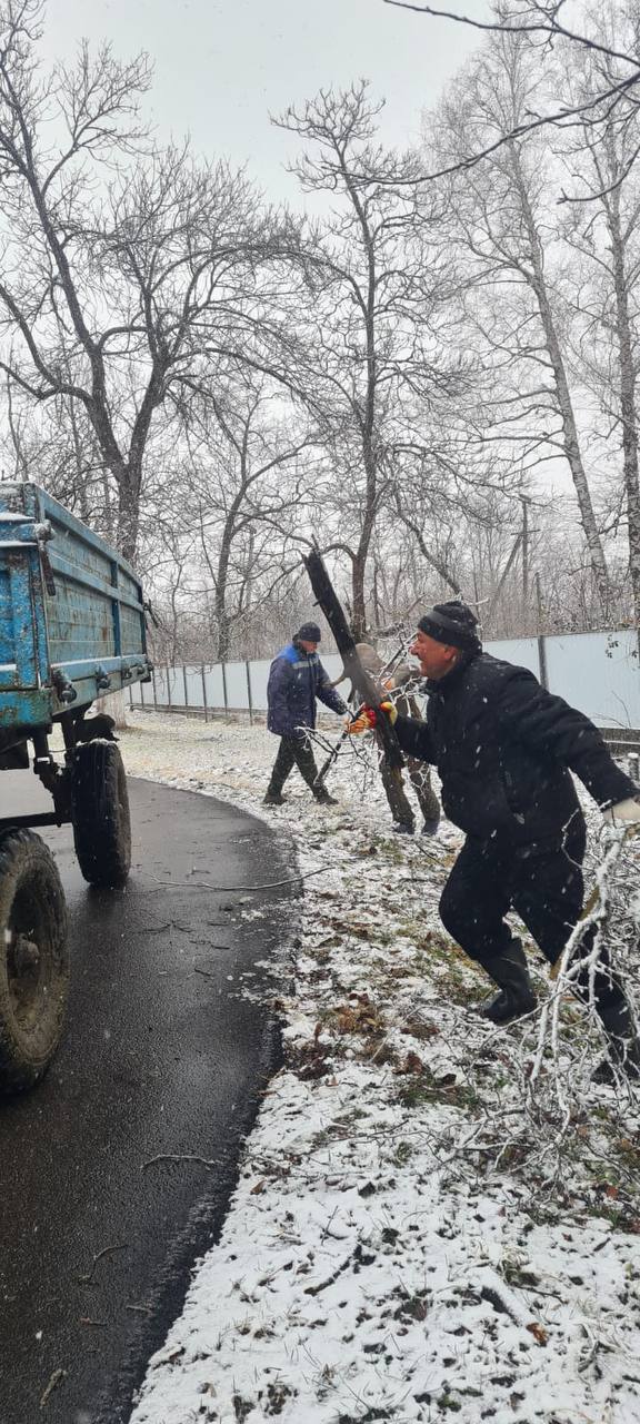 Снег не помеха - в Нефтегорске сегодня произвели обрезку аварийных деревьев    По улицам Репина и Школьной в районе больницы завершены работы по обрезке аварийных деревьев и кустарников.  Эта работа в рамках благоустройства  продолжается по поручению главы Нефтегорского городского поселения Ольги Срыбной.  По материалам администрации Нефтегорска  Апшеронский рабочий