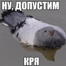 Уличных голубей подавали посетителям ресторана вместо уток В одном из китайских заведений полиция обнаружила жёсткую антисанитарию и туши пойманных на улице голубей Оказалось что их готовили и подавали гостям под видом утки Посетители даже не подозревали подмены После проверки ресторан закрыли Вот такой деликатес Кубанские Новости   Мы в MAX