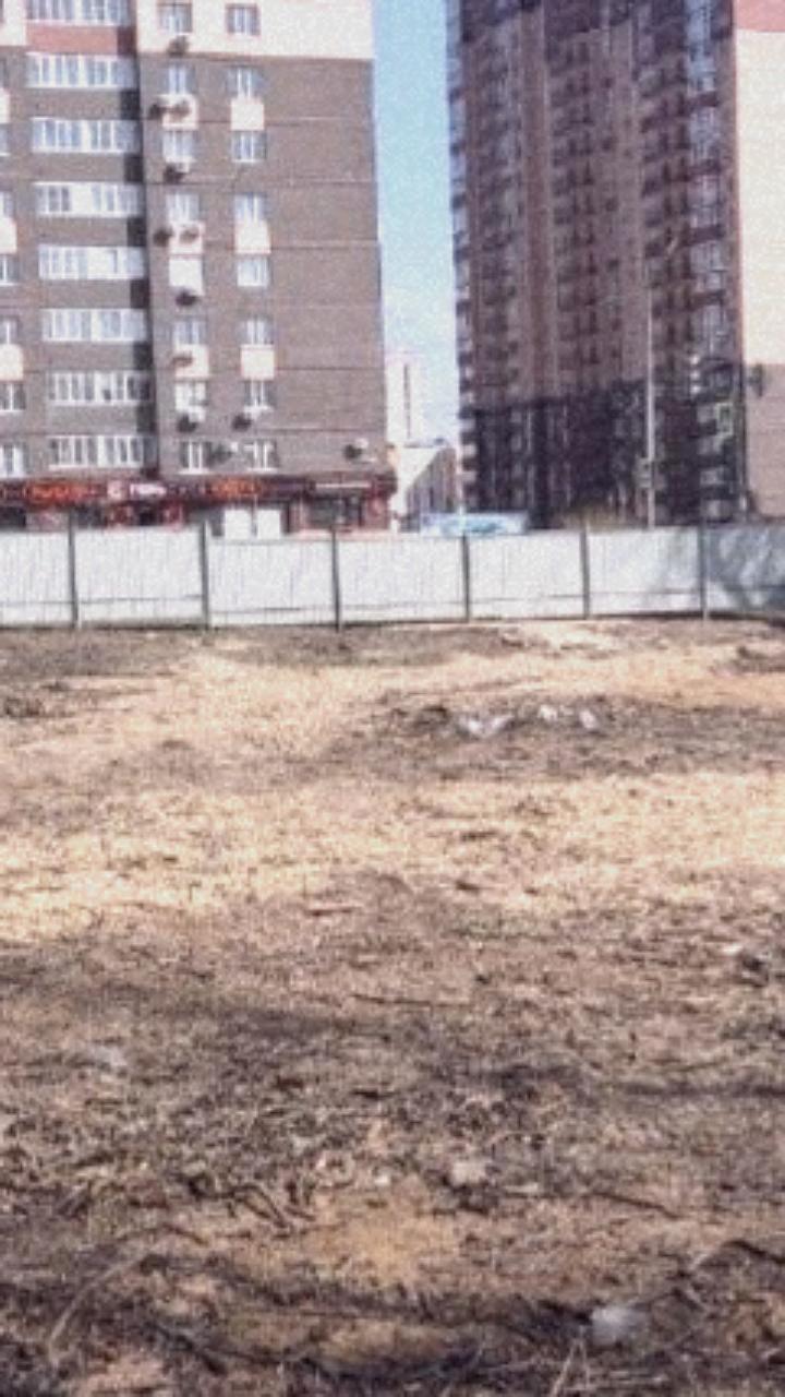 Вырубка рощи на улице Вересаева возмутила местных жителей