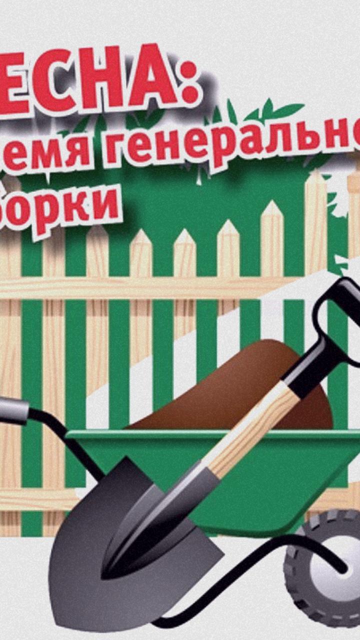 Наведение порядка в городах