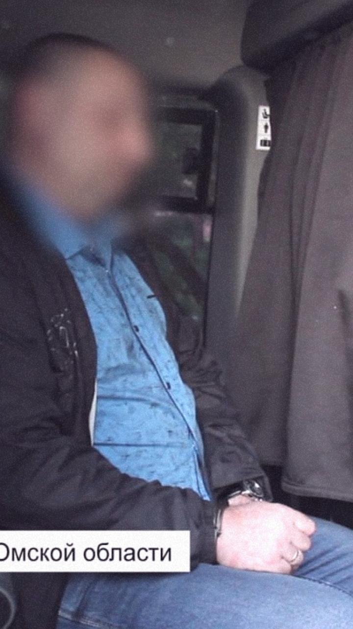 Омский суд приговорил к 12 годам за государственную измену