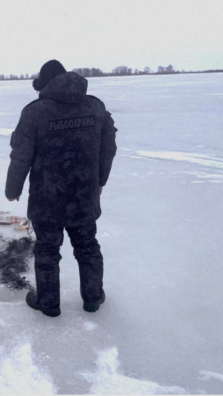 Пойманы браконьеры на Сахалине и в Удмуртии