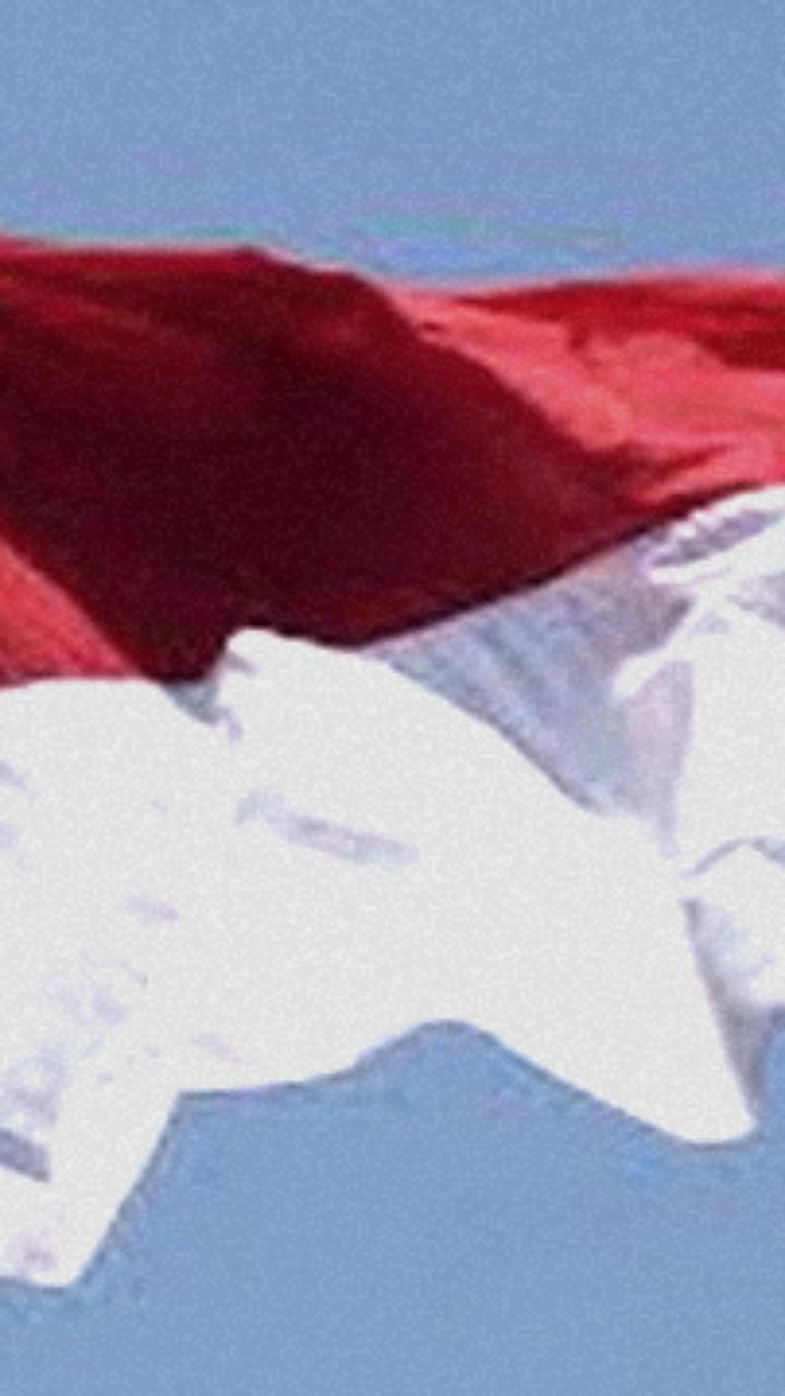 Индонезия согласилась нормализовать отношения с Израилем в обмен на вступление в ОЭСР