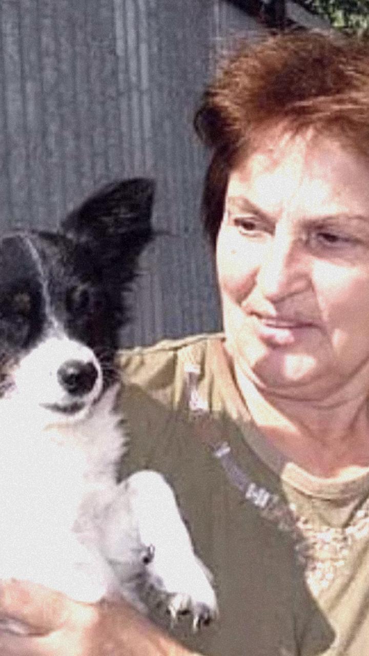 Уголовное дело против 77-летней пенсионерки за комментарий о подрыве 'военкора' Татарского