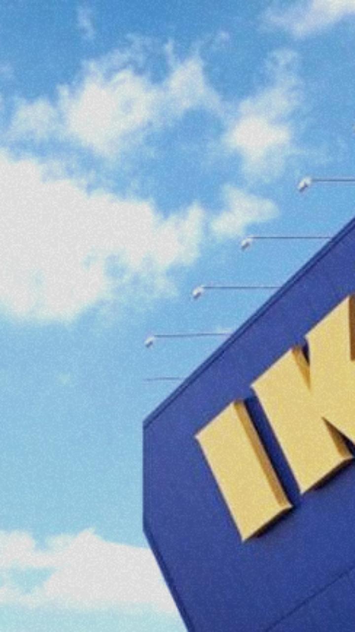 В Гатчине может появиться белорусский аналог IKEA