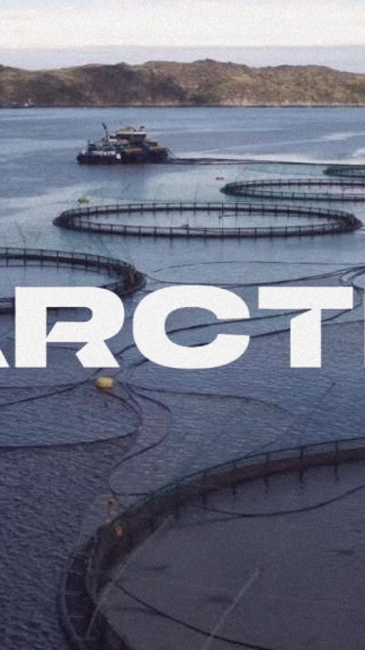 Совет директоров Инарктики рекомендовал выплату дивидендов за 2023 год