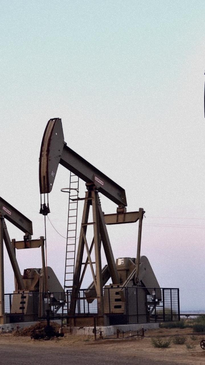 Лукашенко поручил найти нефть в Беларуси