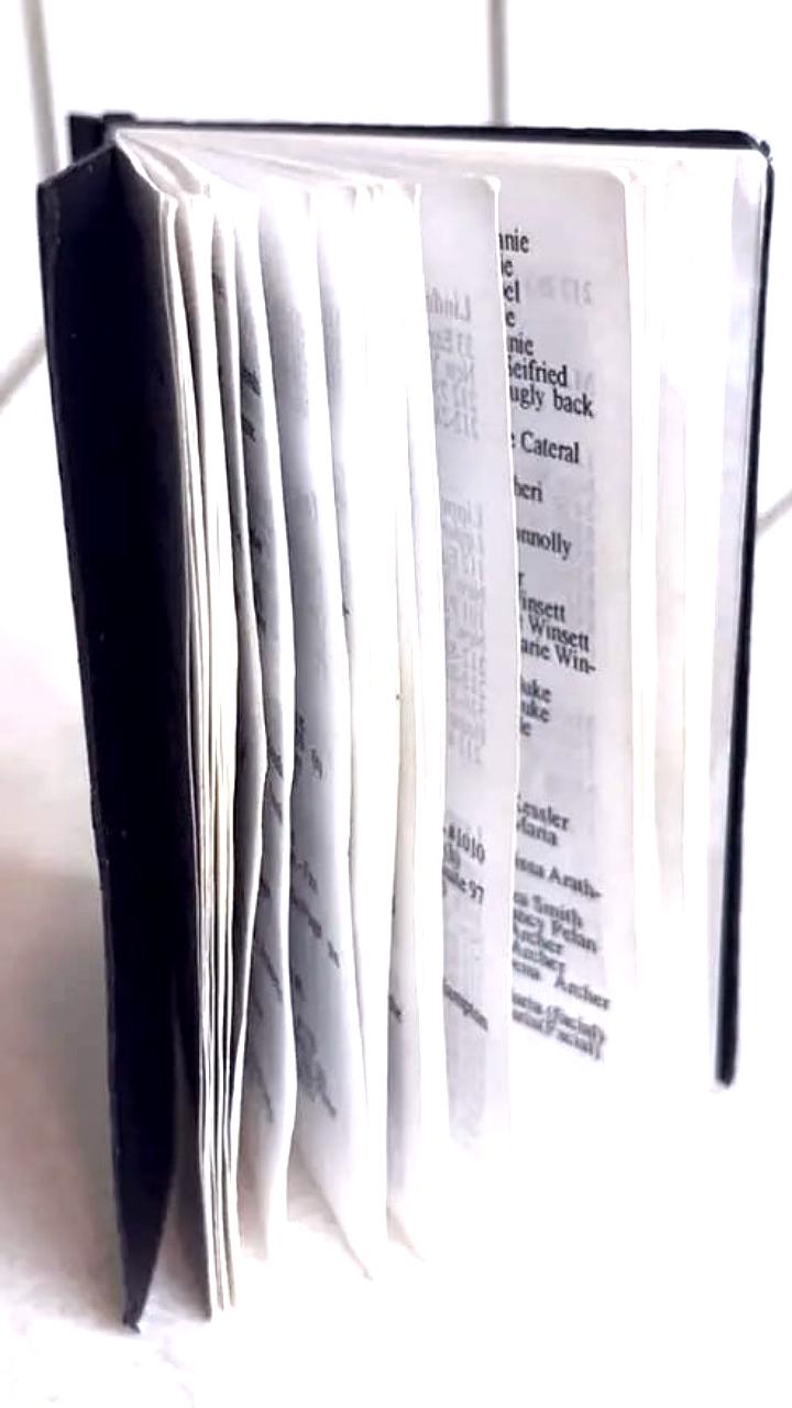 Продажа «Черной книги» Эпштейна с компроматом на 221 человека на аукционе