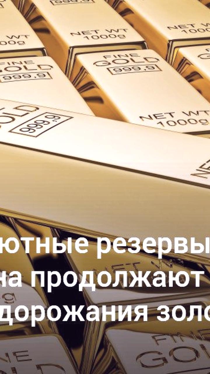 Золотовалютные резервы Беларуси выросли на 89 млн долларов в апреле