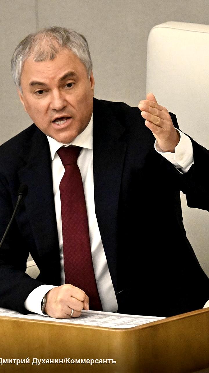 Вячеслав Володин назвал предложенных кандидатов в кабмин профессиональными и опытными