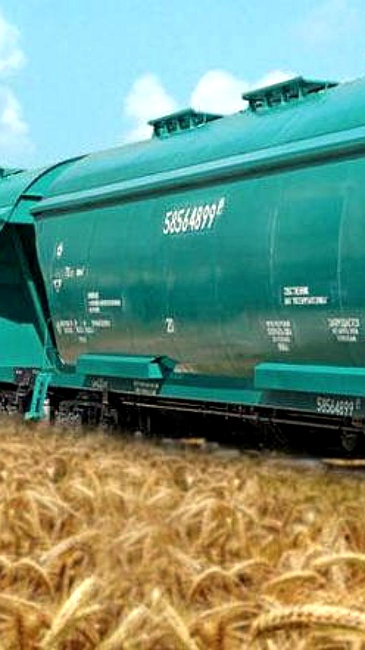 Росжелдор просубсидирует перевозки сельхозпродукции на 6,3 млрд рублей в 2024 году