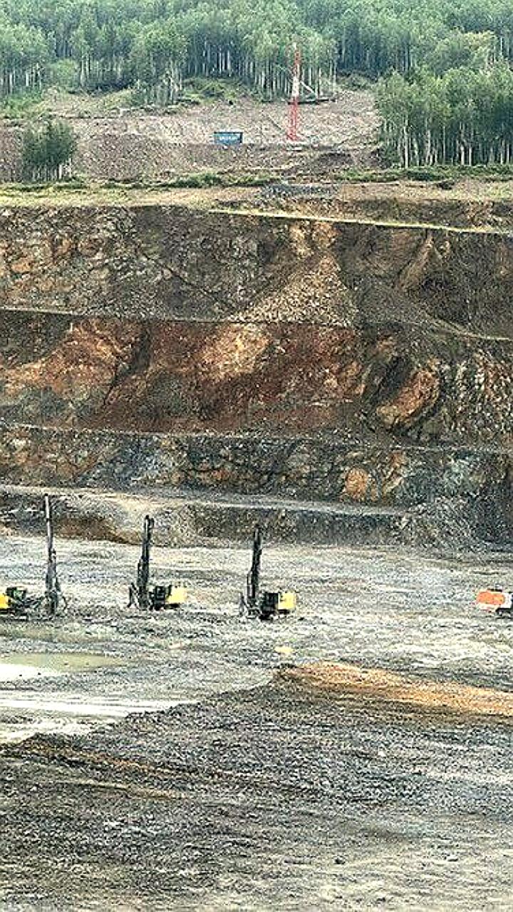 Власти Приамурья выставили на торги акции 'Покровского рудника'