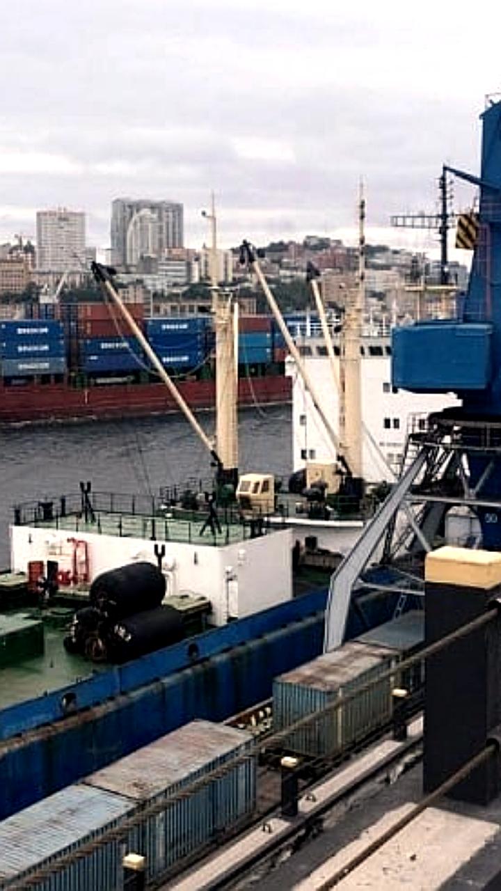 Аркадий Пинчевский приобретает контроль над Владивостокским морским рыбным портом