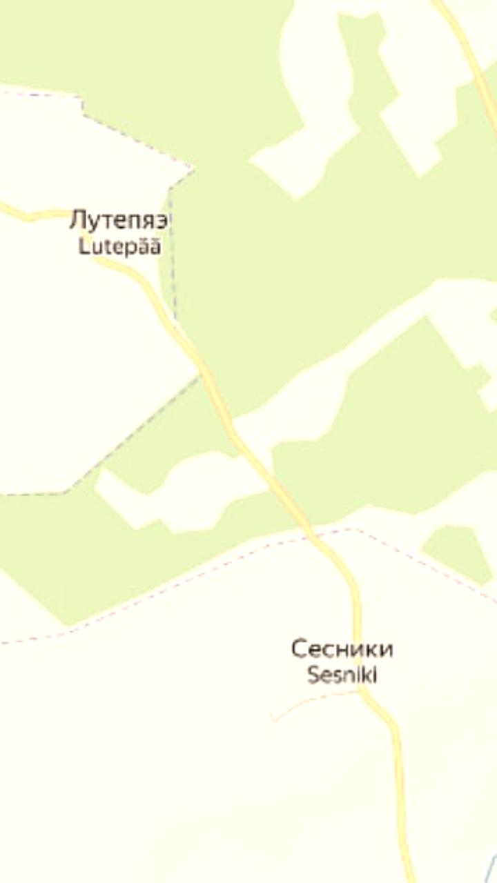 Эстония начнет строительство границы с Россией, исключив участки для обмена земли