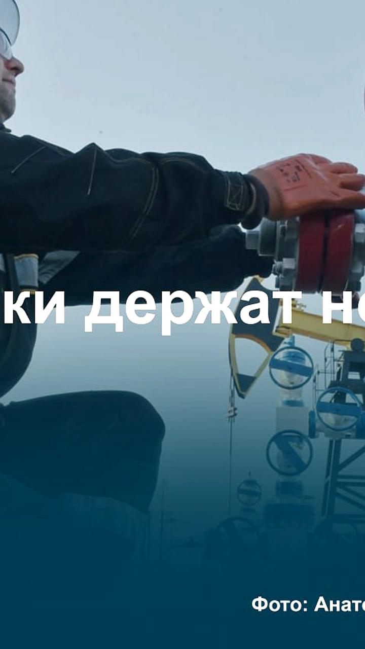 Минфин не поддержал предложения по обнулению демпфера