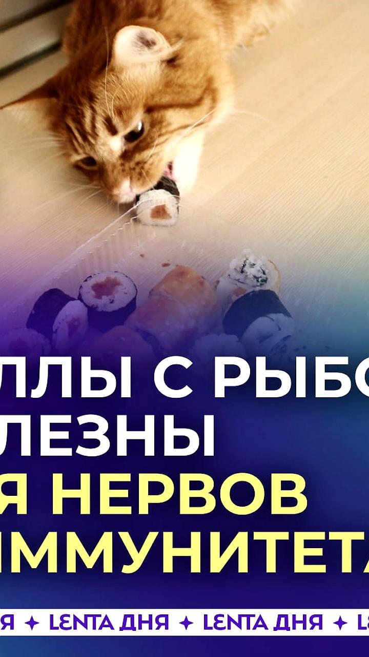Суши с рыбой - кладезь полезностей для нервов и иммунитета