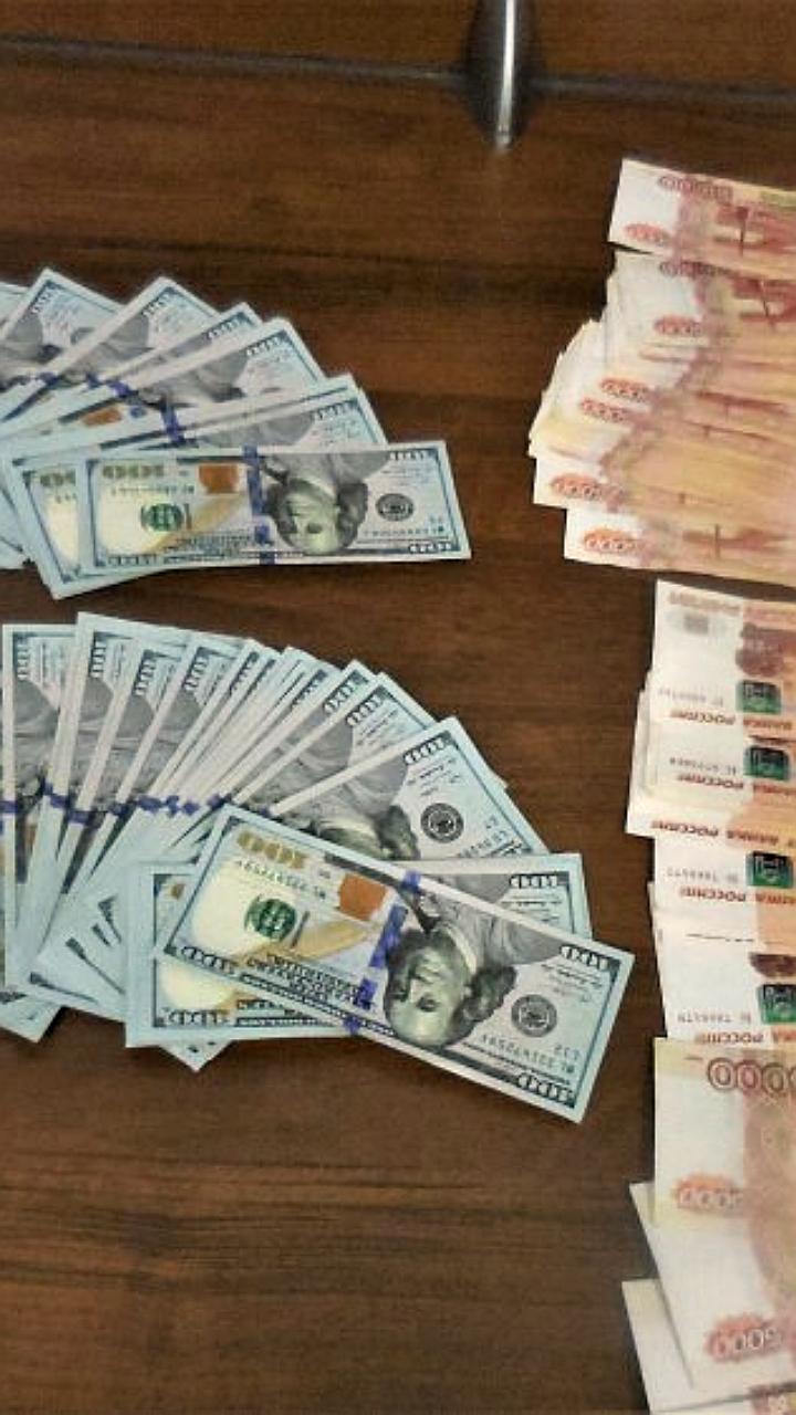 Спаниель Феокла помешала провести лишние деньги в Толмачёво