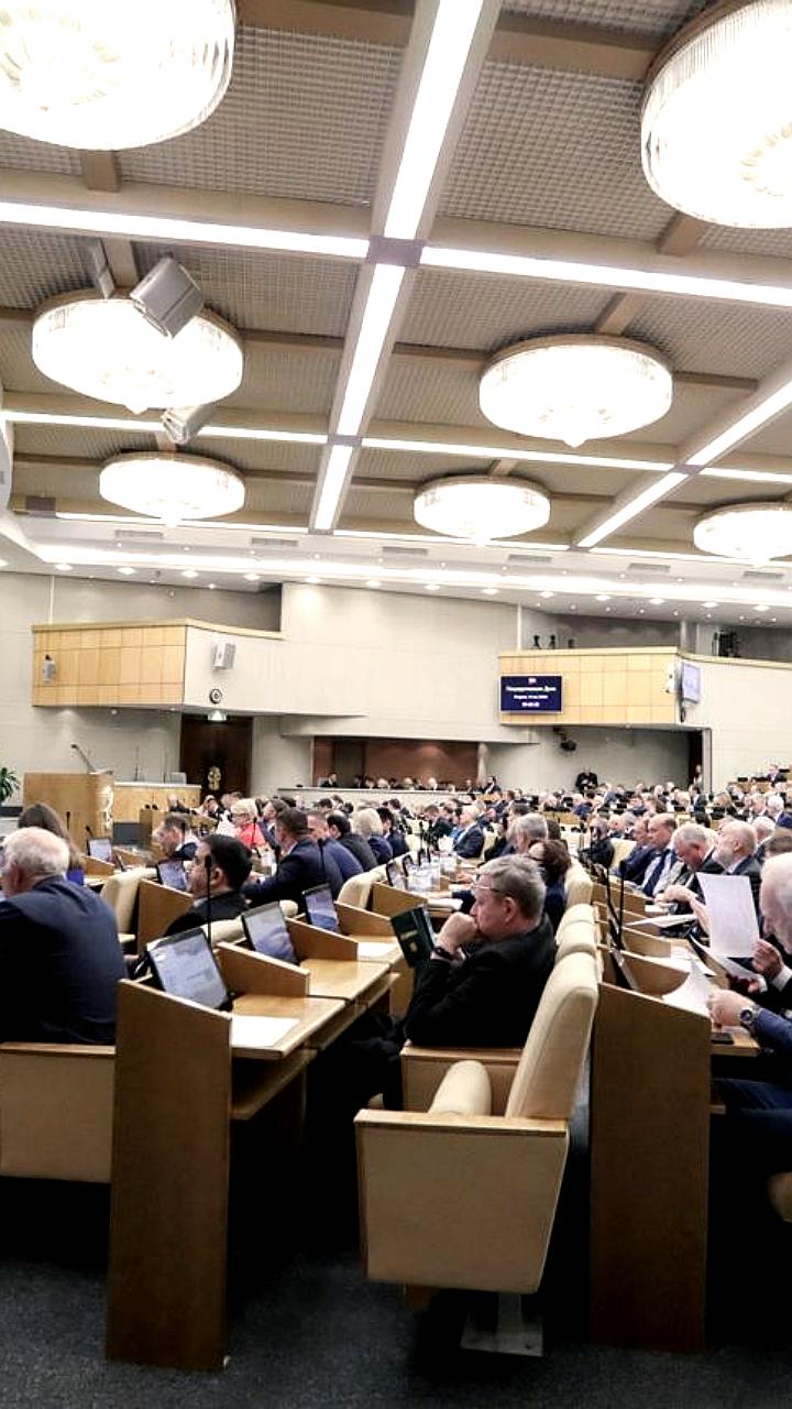 Госдума приняла законопроект о лесоклиматических проектах