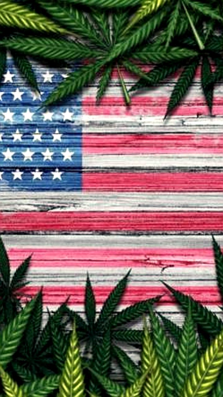 Ежедневное употребление марихуаны в США превышает ежедневное употребление алкоголя