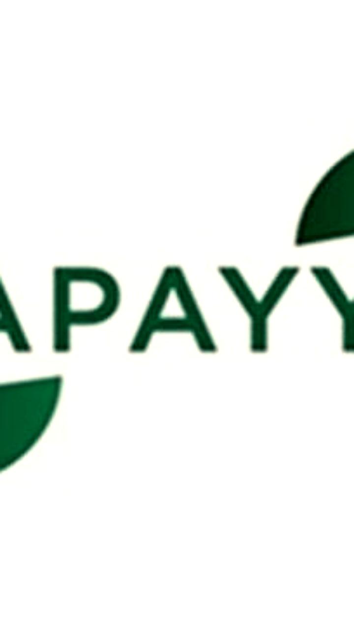 Оператор карт «Мир» подал заявку на регистрацию бренда Papayya