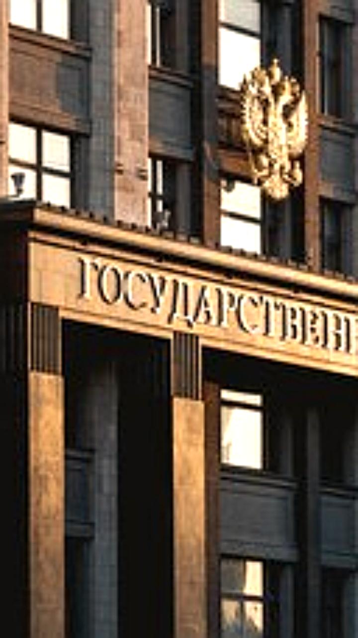 В Госдуме предлагают ввести налоговый вычет за лечение домашних животных