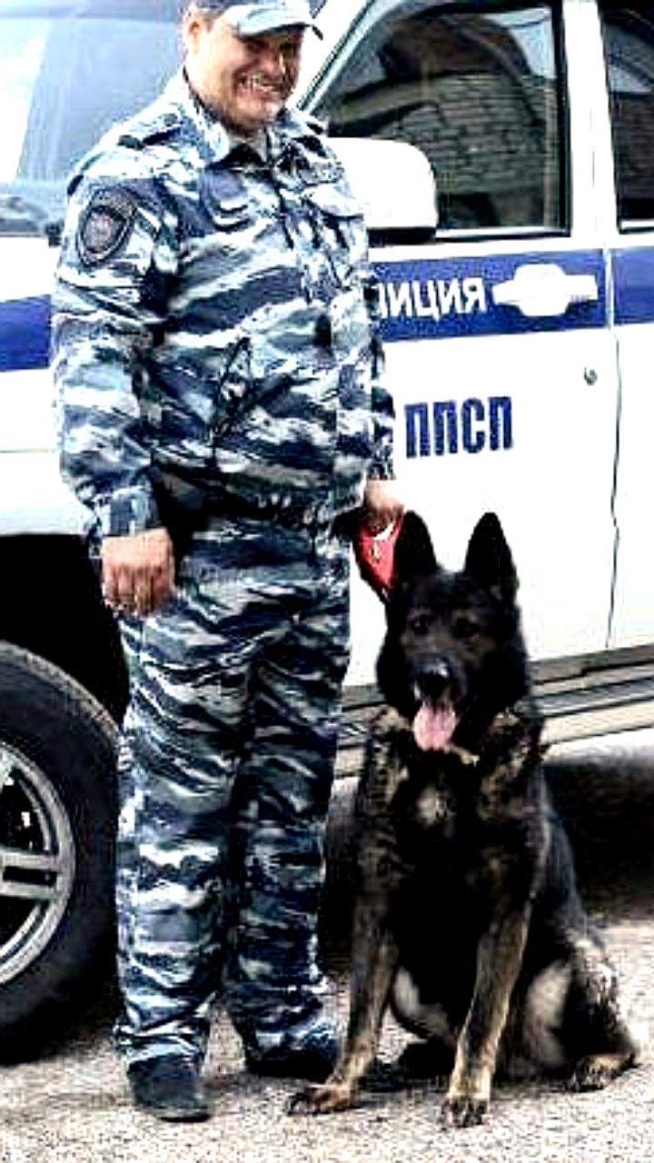 Полицейская собака Жизель помогла задержать вора в Лесозаводске