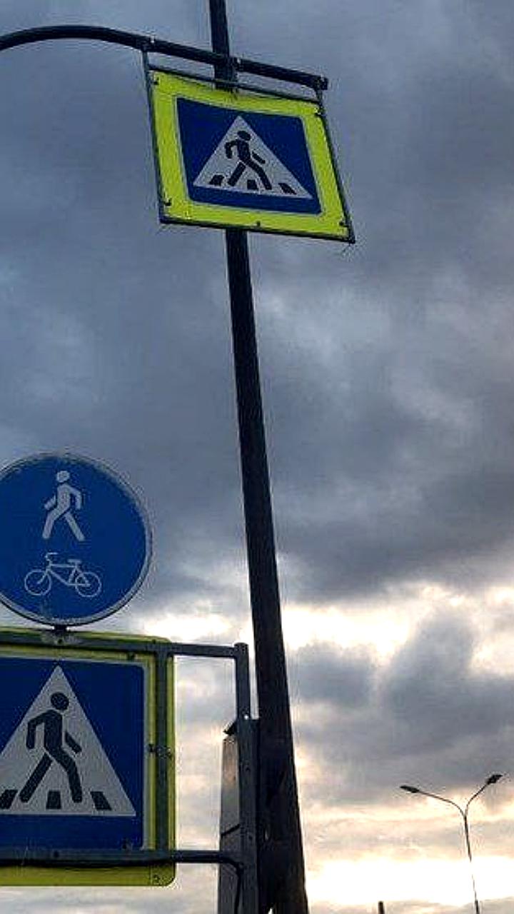 Выделены средства на выкуп земель для второй велодорожки в Калининградской области
