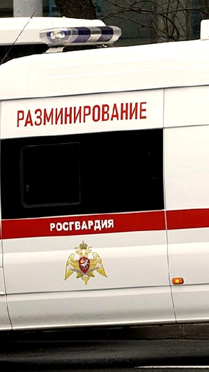 Рыбак обнаружил опасный улов