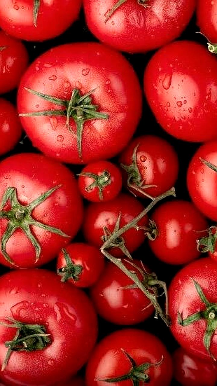 Северная Осетия увеличит производство томатов в 1,2 тыс. раз к 2026 году