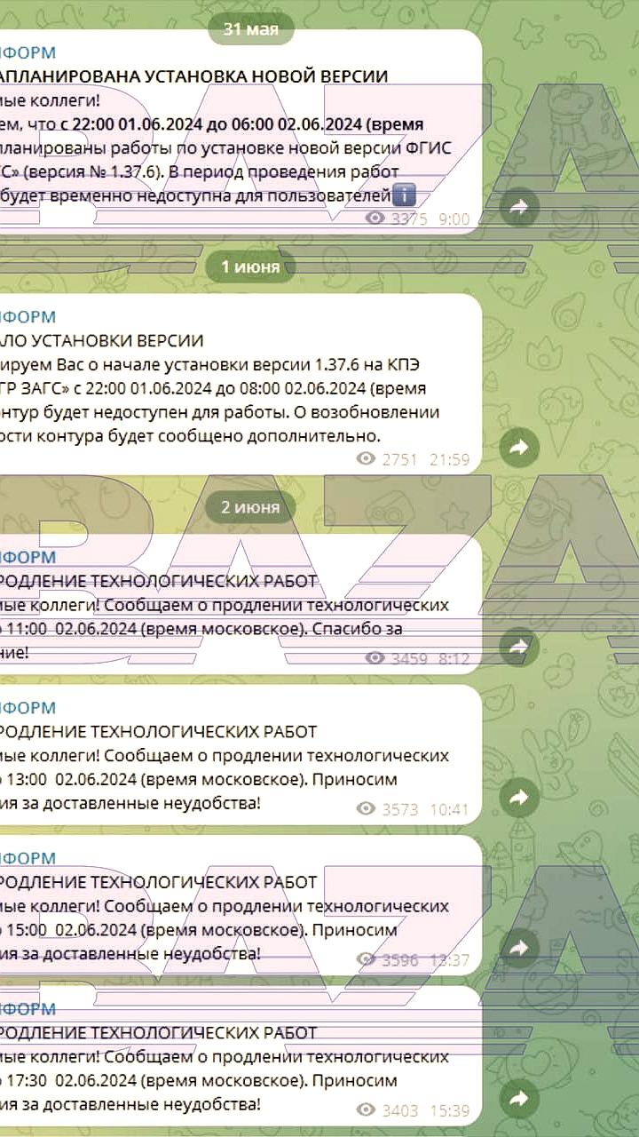 Сбой в системе ЗАГС: проблемы с выдачей справок и апостилем