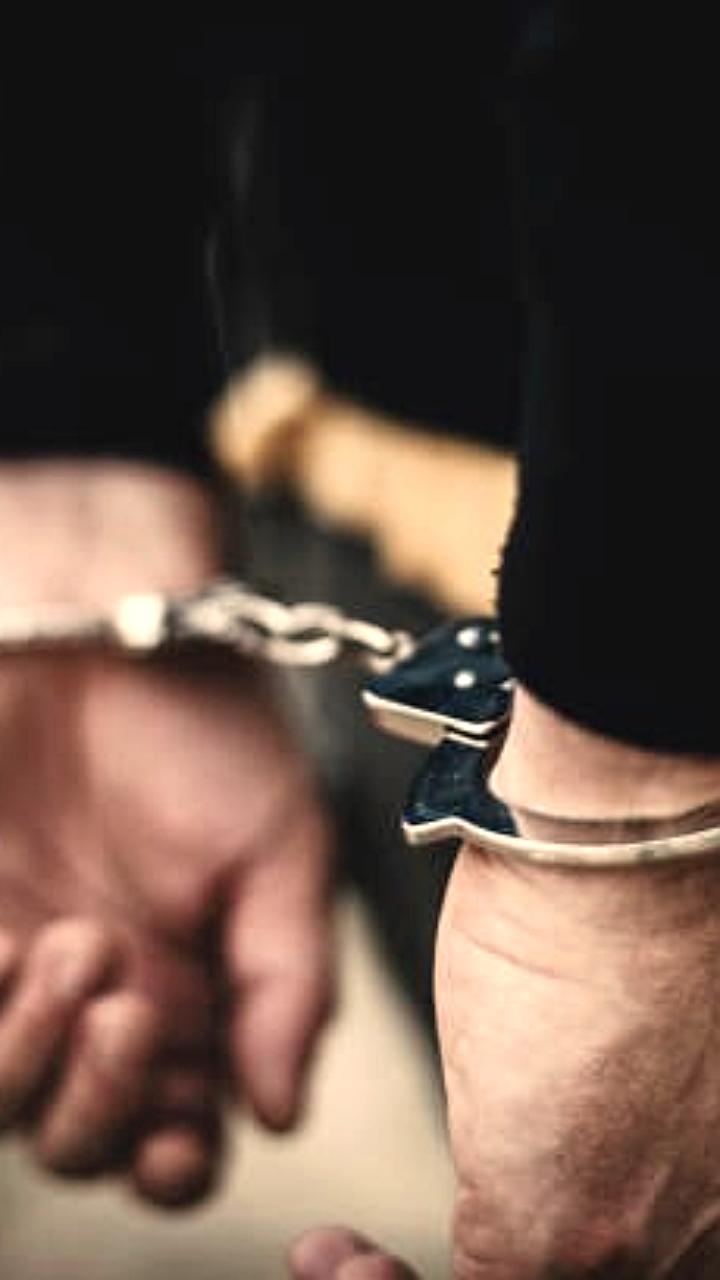 Директор и специалист ветеринарной службы Алматы осуждены за хищение бюджета