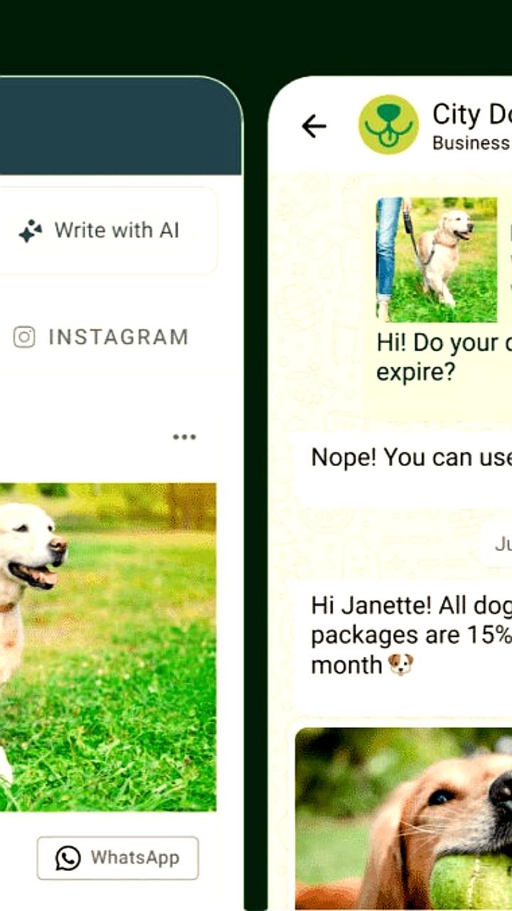 Meta запускает таргетированную рекламу на WhatsApp с использованием ИИ