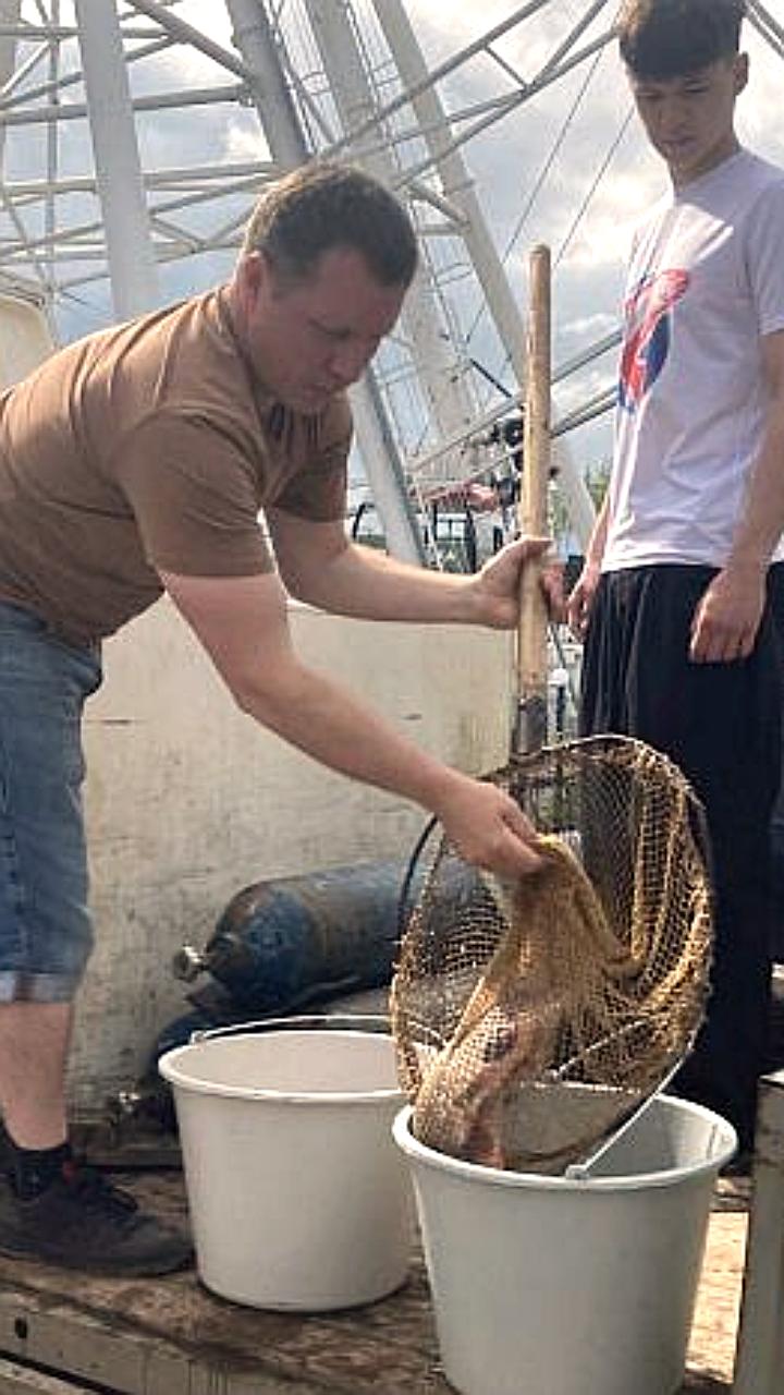 Зарыбление рек и прудов: успешное выполнение планов и экологическая важность