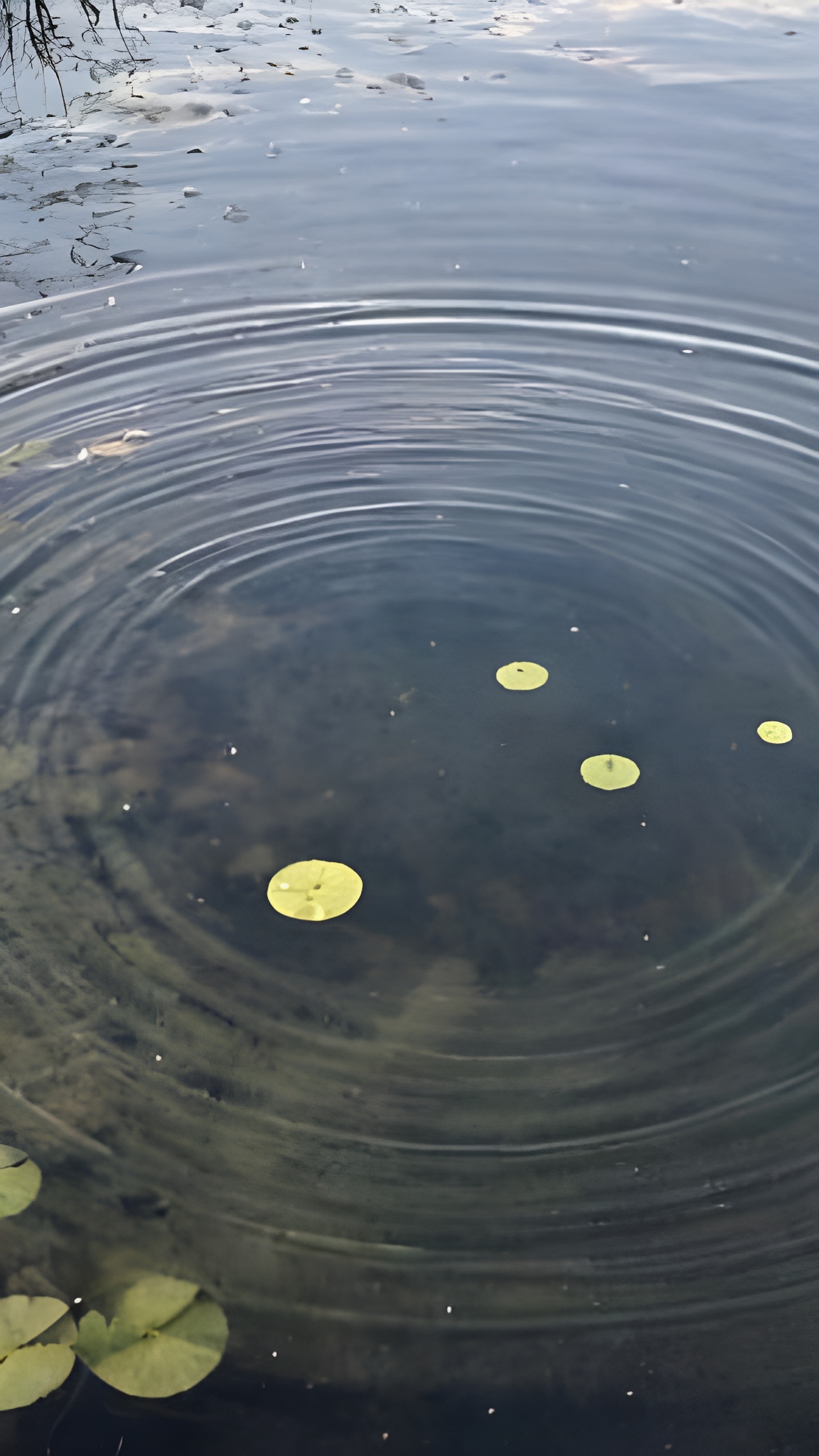 Два случая гибели на воде в Удмуртии